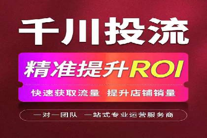 成功SEM服务案例分析报告